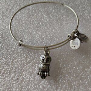 Alex and Ani Owl Bird Ode silver charm bracelet Bangle Expandable   404